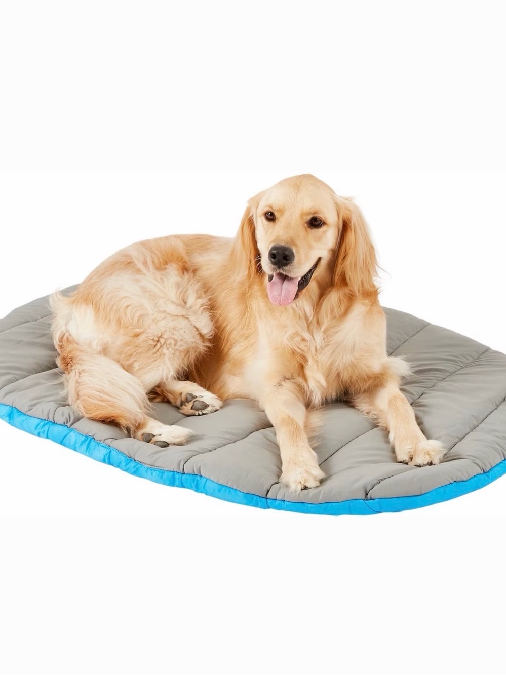 Chuckit! Water Resistant Travel Pillow Dog Bed Medium to Large Dogs